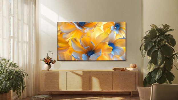 Which TCL TV suits your usage situation?