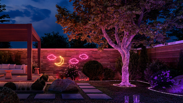 Neon: direct light in any shape