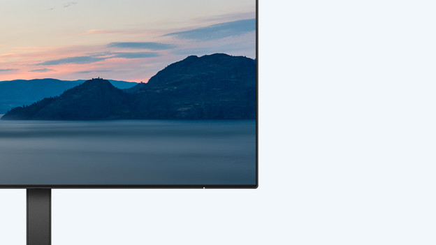 The thin bezel of a monitor is a nice addition for an everyday monitor