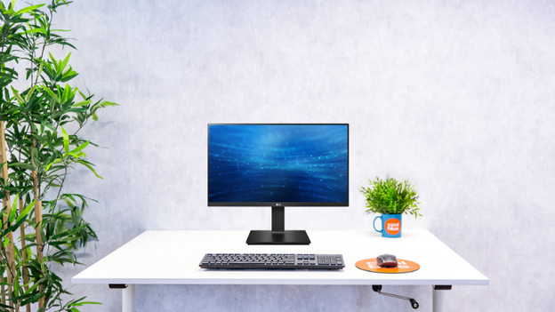 Medium-sized: 23 up to 25 inches