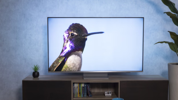 Philips OLED TV in the living room