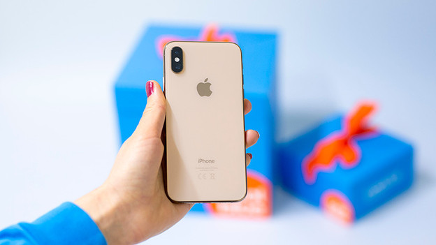 Apple iPhone Xs Max: large screen and dual camera