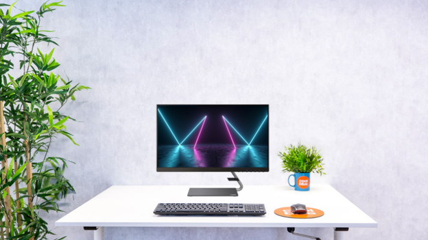 Medium-sized: 24 inches