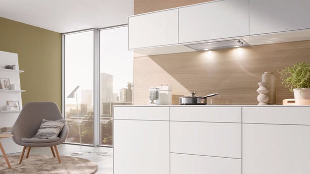 Air exhaust range hood