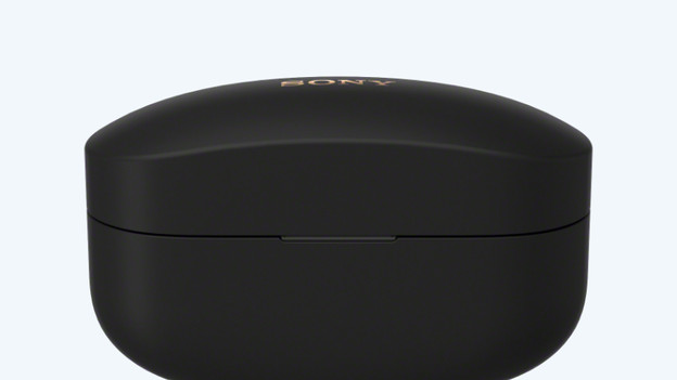 Oplaadcase oordopjes