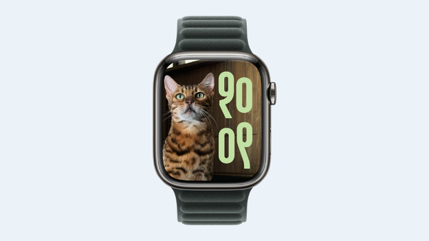 Personalize the Apple Watch