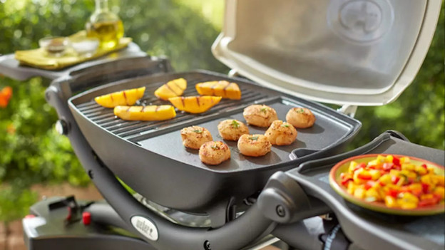 Elektrische Weber barbecue kiezen