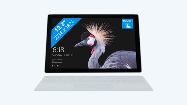 Microsoft Surface Pro X with Microsoft SQ2 processor.
