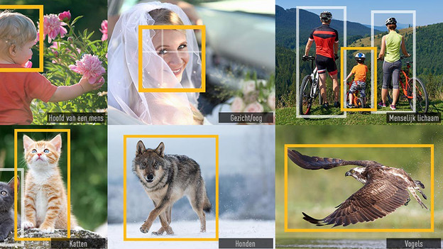 gezichtsherkenning