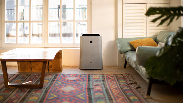 Placement air cleaner