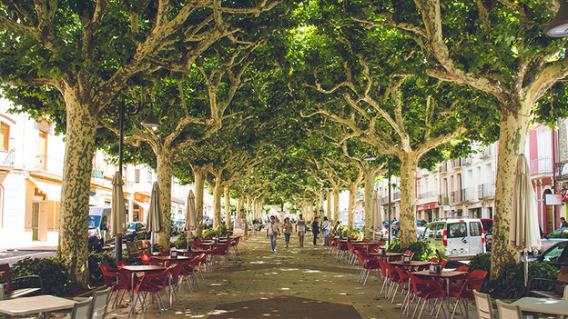 Interessante compositie