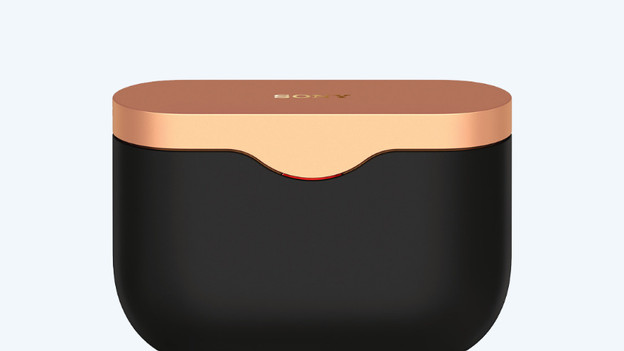 Sony WF-1000XM3: 6 hours