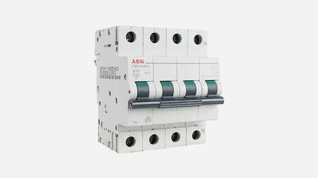 Fuses in the fuse box