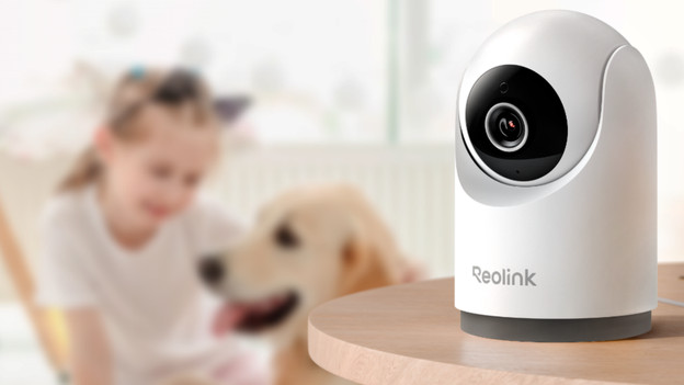 Pan tilt zoom IP camera