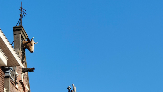 Telephoto lens OPPO Find X3 Pro