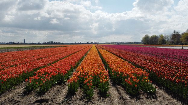 choose departure point