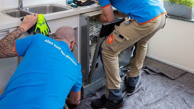 The hind legs are not always visible