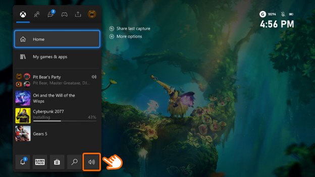 Turn on the microphone via 'Audio'