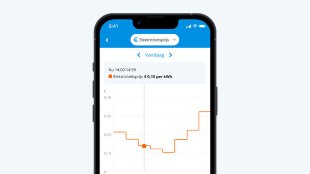 Dynamische Uurprijzen