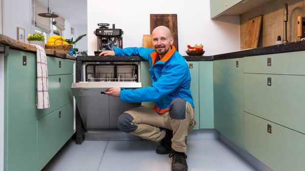 Dishwasher cycle stops