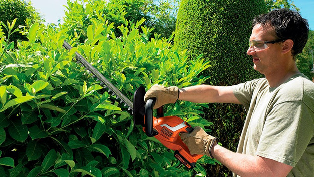 Cordless hedge trimmer: cordless trimming
