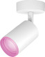 Philips Hue Fugato Opbouwspot White and Color - Wit - 1-spot