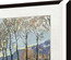 TCL Frame Black 55 inch