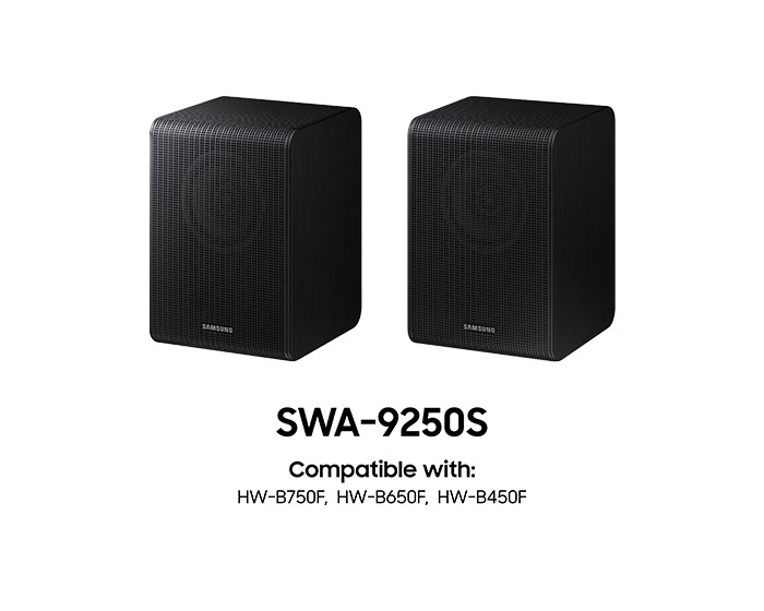 Samsung SWA-9250S/XN (2025) visual leverancier