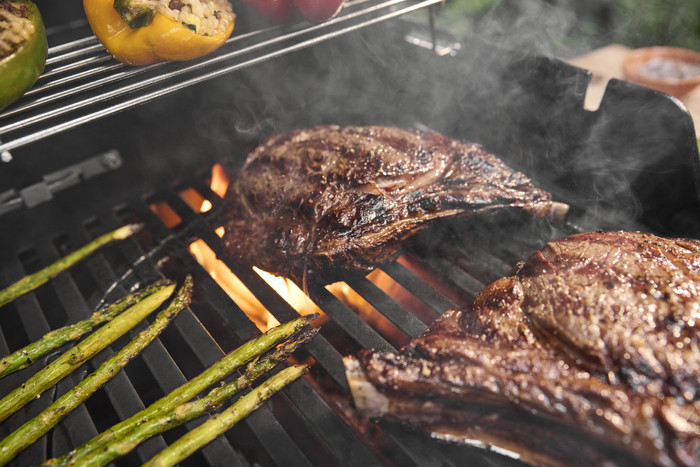 Weber Spirit E-310 Black product in use