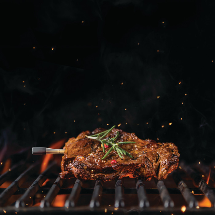 Ninja ProChef WP100EU product in gebruik