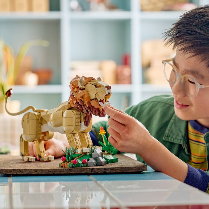 LEGO Creator 3-in-1 Wilde dieren: Majestueuze Leeuw 31386 product in gebruik