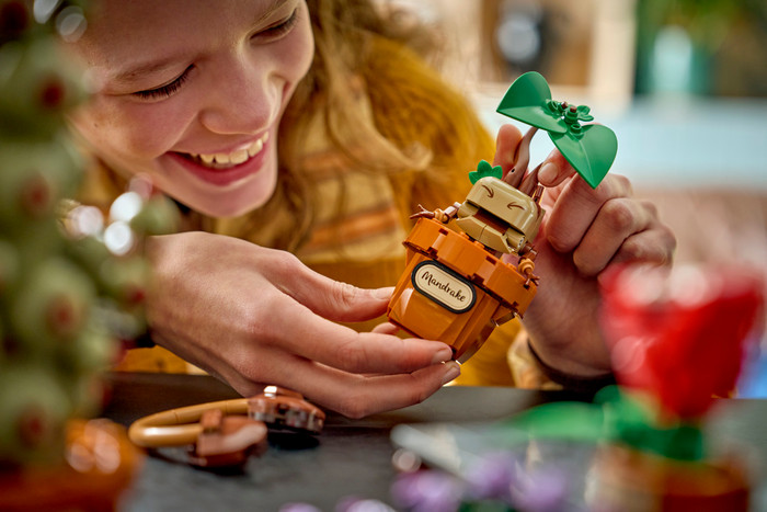 LEGO Harry Potter Zweinstein Kruidenkunde Planten 76474 product in gebruik
