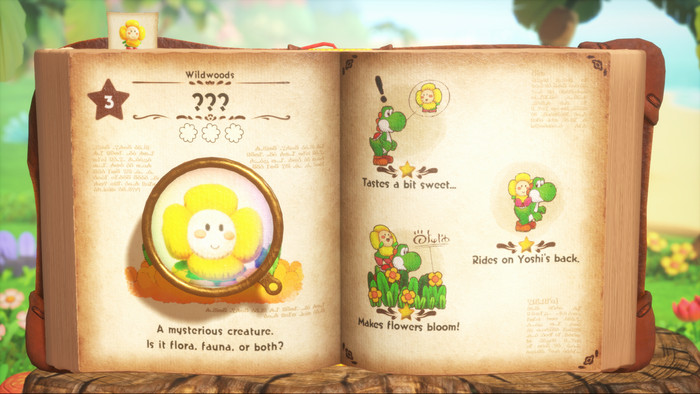 Yoshi and the Mysterious Book Nintendo Switch 2 product in gebruik