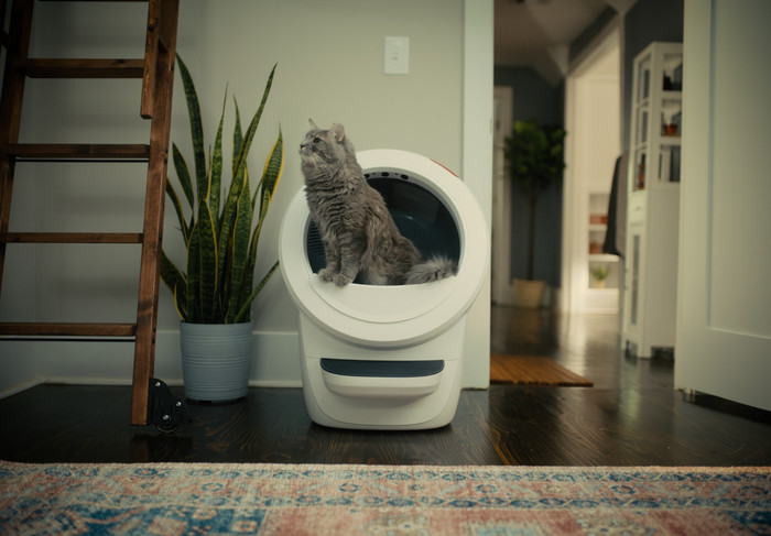 Whisker Automatische kattenbak Litter-Robot 4 Wit product in gebruik