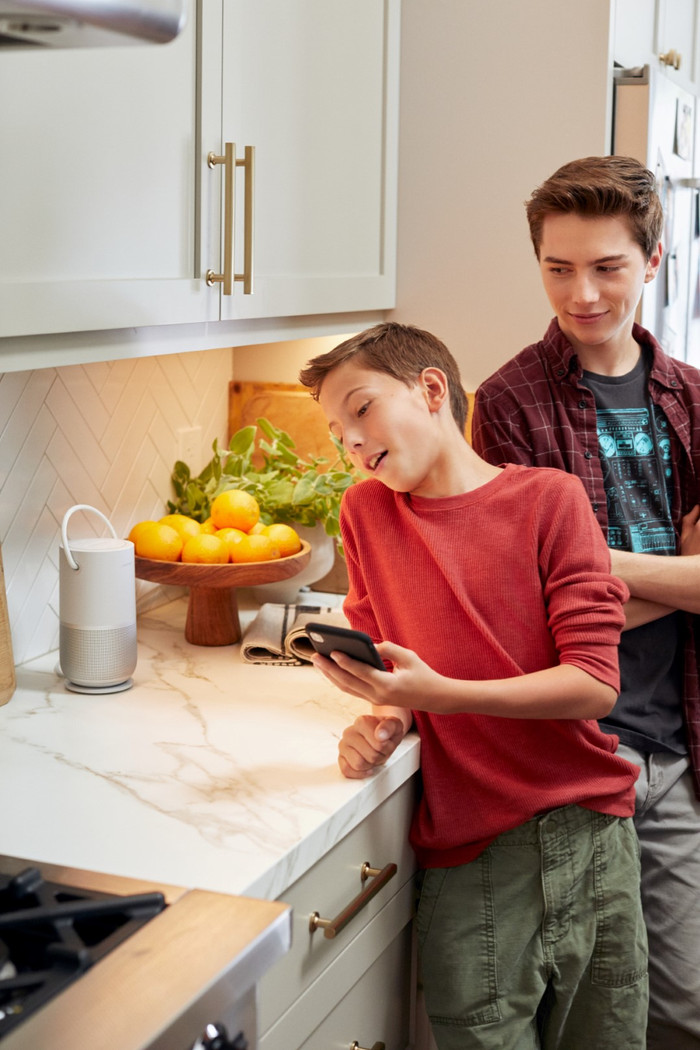 Bose Portable Home Speaker Zilver product in gebruik