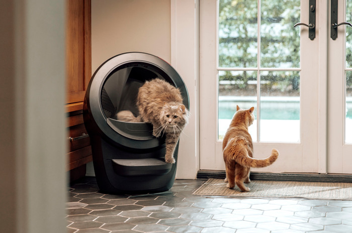 Whisker litter robot 4 Zwart product in gebruik