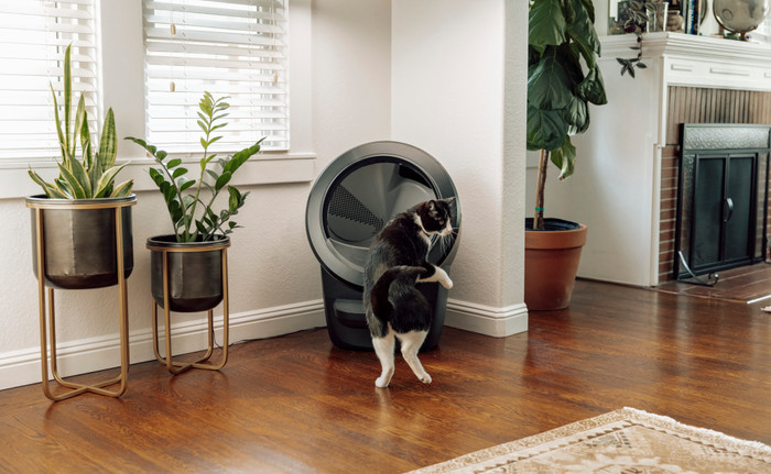 Whisker litter robot 4 Zwart product in gebruik