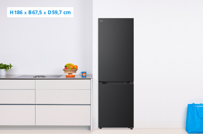 LG GBBS312AEV visual Coolblue 1