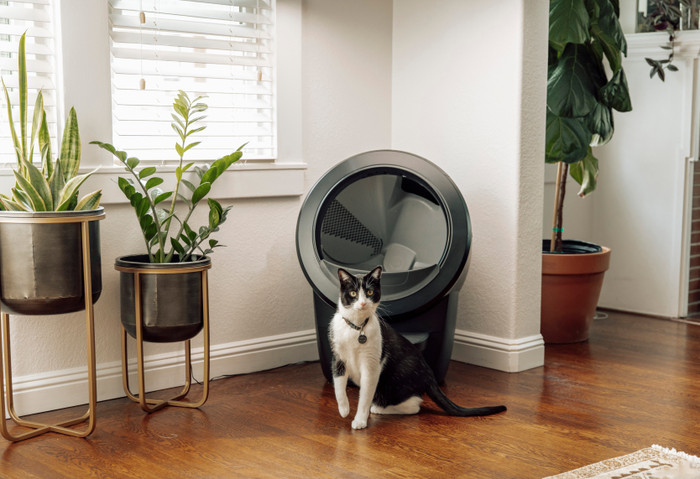 Whisker litter robot 4 Zwart product in gebruik