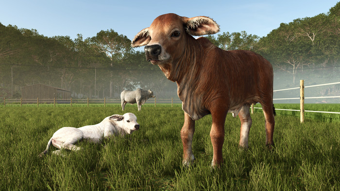 Farming Simulator 25: Beans & Alpacas Edition PS5 product in gebruik