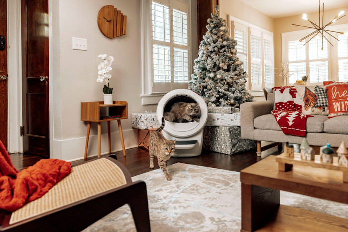 Whisker Automatische kattenbak Litter-Robot 4 Wit product in gebruik