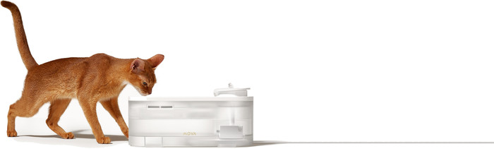 Mova Drinkfontein WF10 Pro Wit product in gebruik