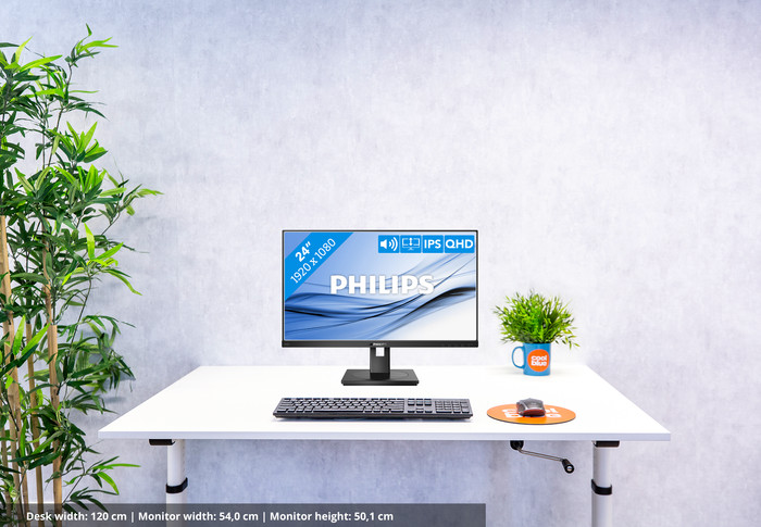 Philips 245B1 null