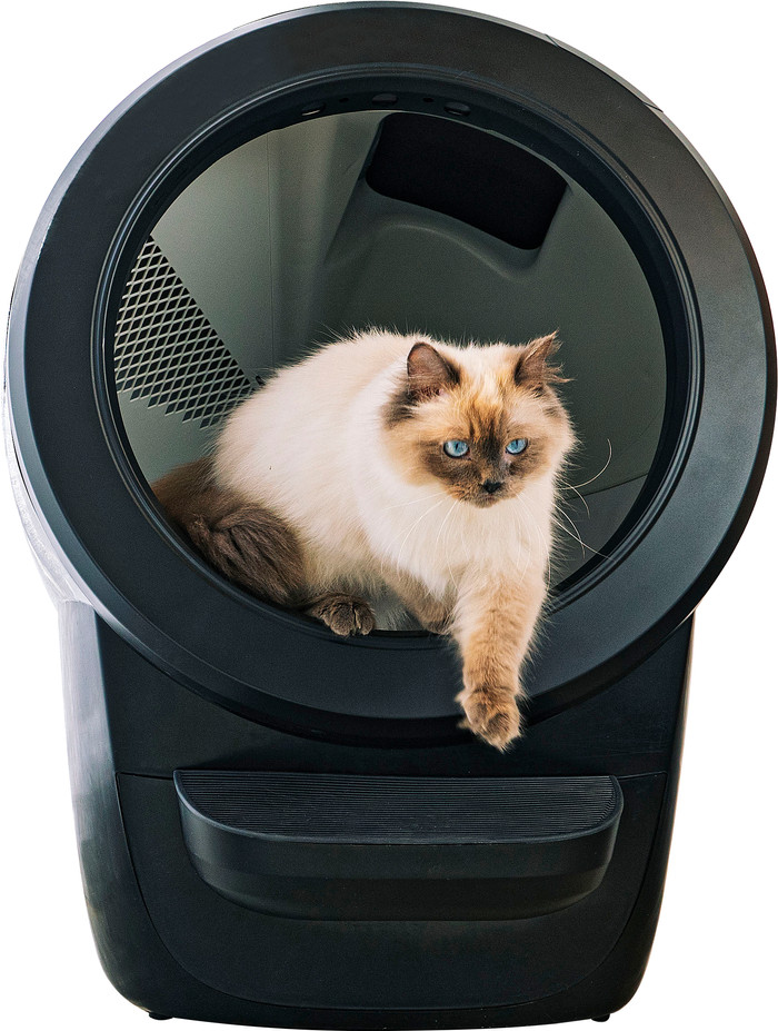Whisker litter robot 4 Zwart product in gebruik