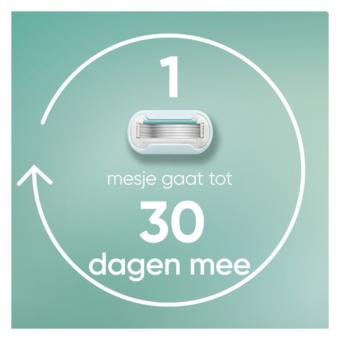 Gillette Venus Deluxe Smooth Sensitive + 9 Navulmesjes visual leverancier