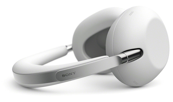 Sony 1000X THE COLLEXION Platinum detail