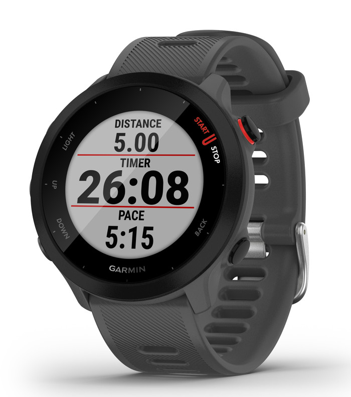 Garmin Forerunner 55 Gray null