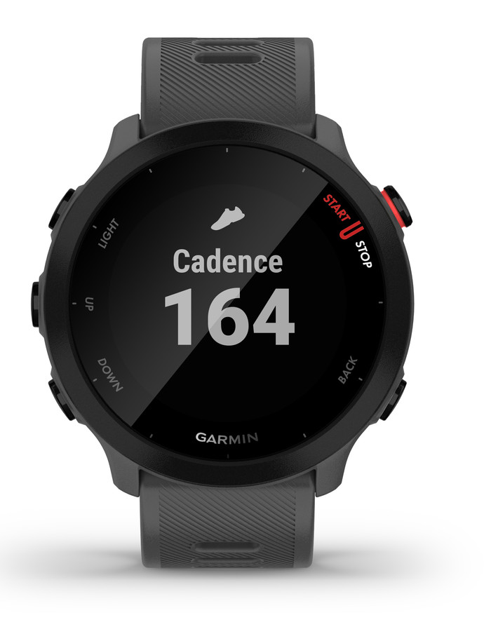 Garmin Forerunner 55 Gray null
