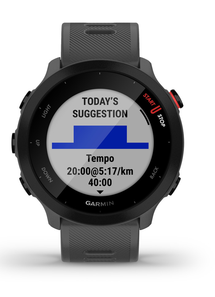 Garmin Forerunner 55 Gray null
