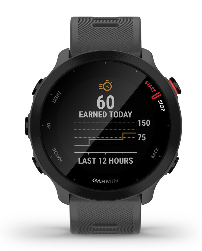 Garmin Forerunner 55 Gray null